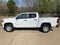 2022 Chevrolet Colorado WT